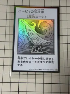 ハーピィの羽根帚 ウルトラ モノクロ