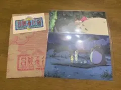 ジブリ ジブリパーク となりのトトロ ポストカード