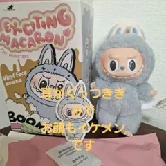 正規品 ラブブ ExcitingMacaron マカロン　シーソルト　sea