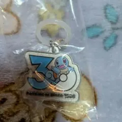 ポケモン30周年メタルチャームマスコット めじるしゼニガメ