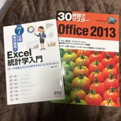 Excel 統計学入門 & Office 2013