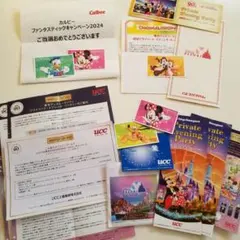 ディズニー 貸切 イベント 配布物 使用済みチケット まとめ売り