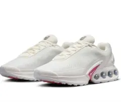 GW限定値下げ中　NIKE AIR MAX DN 24.5cm