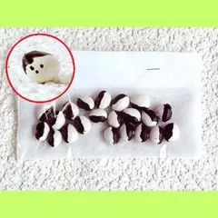 ♡む♡様 リクエスト 3点 まとめ商品