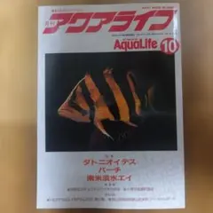 アクアライフ 1995年10月号 ダトニオイデス特集