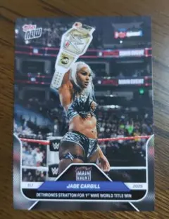 Item thumbnail for item 2773ef31-c8c7-4c62-bf34-3329734b5a2e