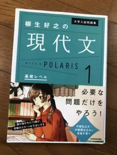 柳生好之の現代文 POLARIS 1