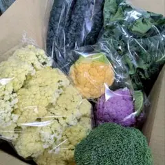 珍しい野菜 詰め合わせセット♡60サイズ 希少野菜 旬の新鮮やさい 2