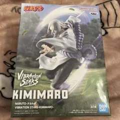 2026年最新】VIBRATION STARS KIMIMAROの人気アイテム - メルカリ