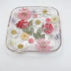 スクエア　トレー固まるハーバリウム