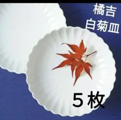 Item thumbnail for item 637ce3d6-9006-4c93-9714-65180c24ed33