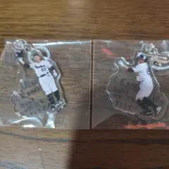 東京ヤクルトスワローズ 青木宣親 アクリルキーホルダー 2種