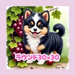 No.1244 ダイヤモンドアートキット ラウンド 犬