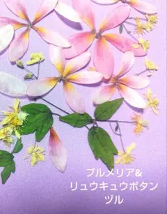 ナイア様 リクエスト 3点 まとめ商品