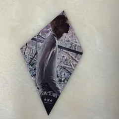 txt SANCTUARY ボムギュ アイスピースカード