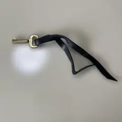 ルイビトン　バッグ　刻印ロゴ入り鍵 革紐付きのサムネイル