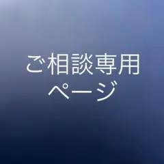 専用ページです