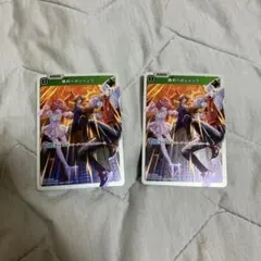 つなまよ様 リクエスト 2点 まとめ商品