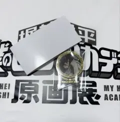 ヒロアカ 十傑 アクキー 相澤消太