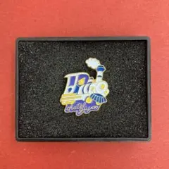 202★フランス雑貨★ピンズ　ピンバッジ　ピンバッチ　ヴィンテージ★