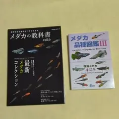 Item thumbnail for item 0a7b6442-774a-42f6-9abd-3a8b0deb9718