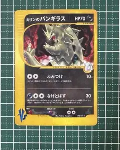 m78993607456_1.jpg?1770908952