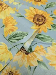 Item thumbnail for item d7a1a01f-266f-4cf1-9b88-083aad032521