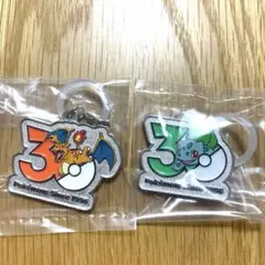 ポケモン　30周年　メタルチャームマスコット　ガチャ