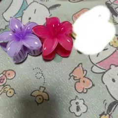 Item thumbnail for item d399307f-efab-47a3-bde3-6264478b294a