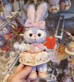 香港ディズニー サマーレモン ステラルー ぬいぐるみSS - メルカリ