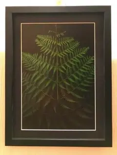 Item thumbnail for item b7226352-44be-4f3c-bdb7-bfd78dfe6e97