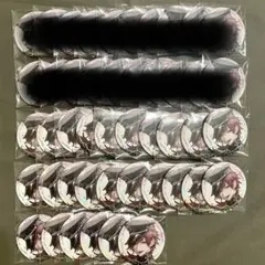 ローレン・イロアス ART OF NIJISANJI マット箔押し缶バッチ26点