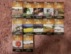 Item thumbnail for item 6df00812-35a3-4207-9f4c-1885fdb72fde