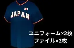 日韓ドリームプレーヤーズゲーム2025　ユニ＆ファイルセット