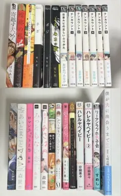 商業BL関連 26冊まとめ売り ボーイズラブ ペーパー特典付き