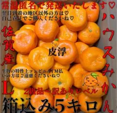 甘くて♡美味しい♡❤️ハウスみかん❤️2級品〜訳ありレベル❤️ Lサイズ❤️5キロ❤️のサムネイル