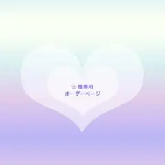 ☆様 専用 カスタムオーダーページ