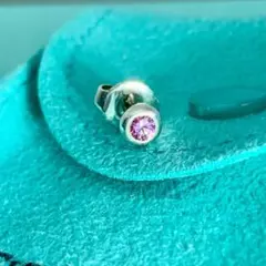 2026年最新】ティファニー バイザヤード ピアスの人気アイテム - メルカリ