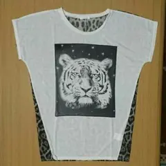 Item thumbnail for item 595b0040-6522-474d-961d-8982b19ee6fe