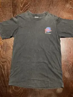激レア】90s World Industries Tシャツ USA製 墨黒 S - メルカリ