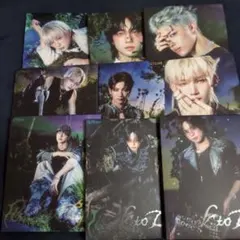 &TEAM Back to Life roar ver ソロジャケ盤 CD