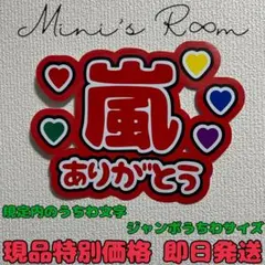 ぱるるん様 リクエスト 2点 まとめ商品