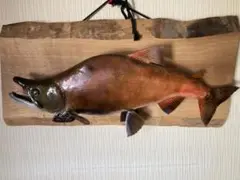 レイクトラウトの剥製 - メルカリ