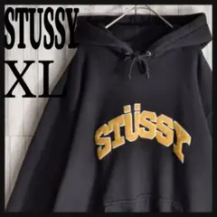 2025年最新】stussy パーカー 刺繍の人気アイテム - メルカリ