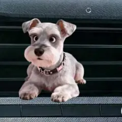 Item thumbnail for item 8cb80c88-b9d7-4b07-8683-19fefd0d4ddb