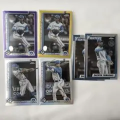 Item thumbnail for item d920e434-548d-47a4-a583-8941eb7cf777