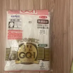 GUNZE GQA510 長袖U首Tシャツ 2枚組 L ホワイト