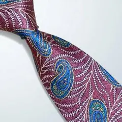 【455】Christian Dior MONSIEUR ネクタイ　ペイズリー