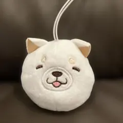 Item thumbnail for item c60cfb77-7b32-4422-baf7-97963fe66f6f