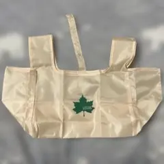 Item thumbnail for item 5314a146-fcee-4342-b556-8d6c2efd07bc